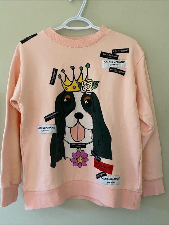 Dolce & Gabbana Sweaters - Dolce & Gabbana Year of the Dog 2018 Iconic & Authentic Pink Cotton Sweatshirt